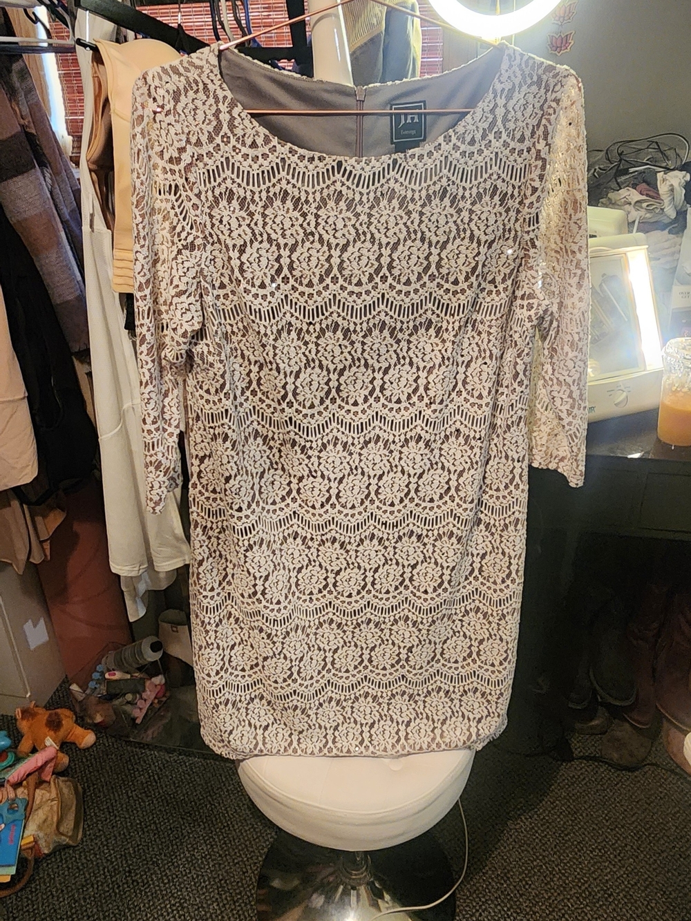 Lace Sheath Dress in Blush